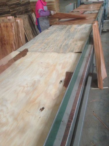  产品供应 竹木材料 竹木板材 胶合板/夹板 > 供应福杉林建筑模板